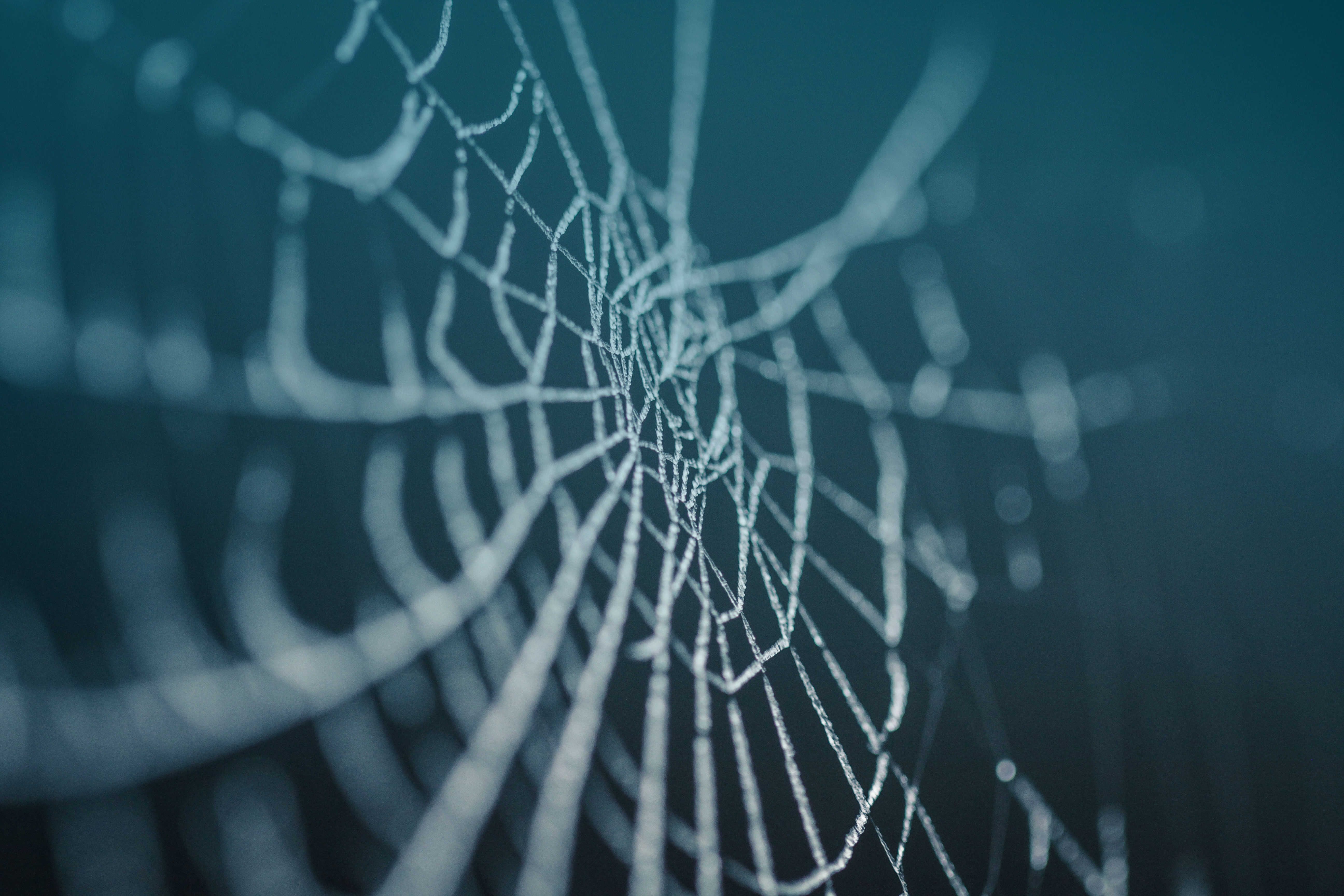 a close up of a spider web