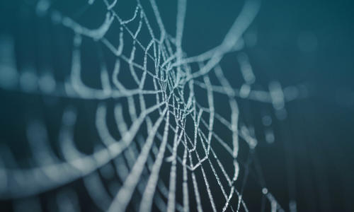 a close up of a spider web