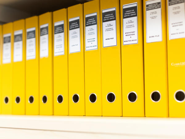 a row of yellow binders