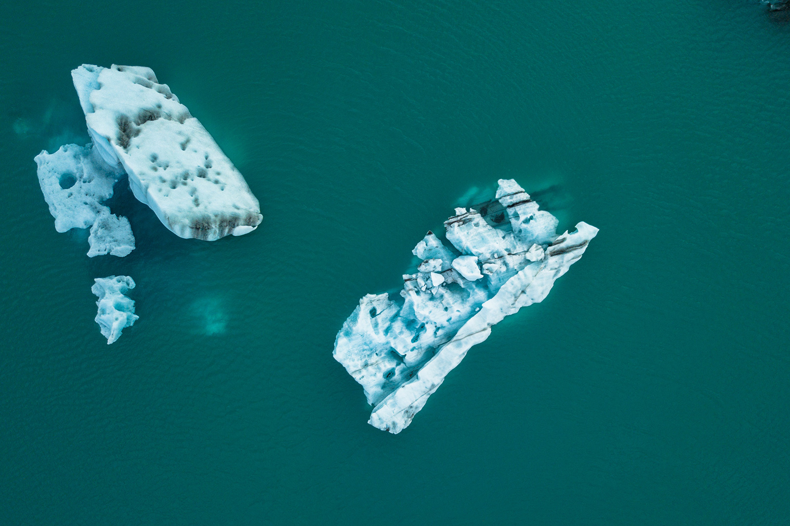 icebergs in the water