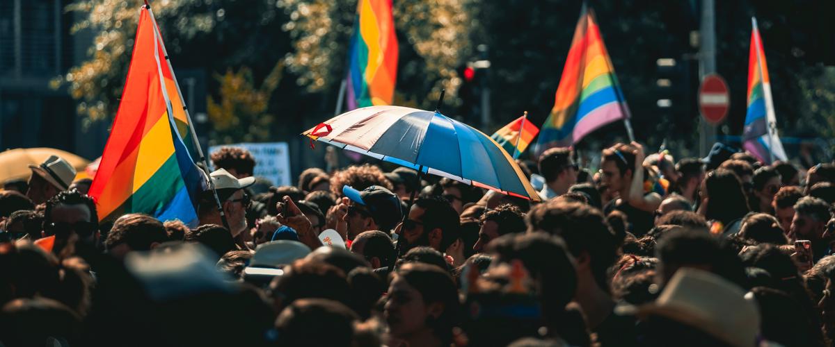 a crowd of people holding flags and umbrellas