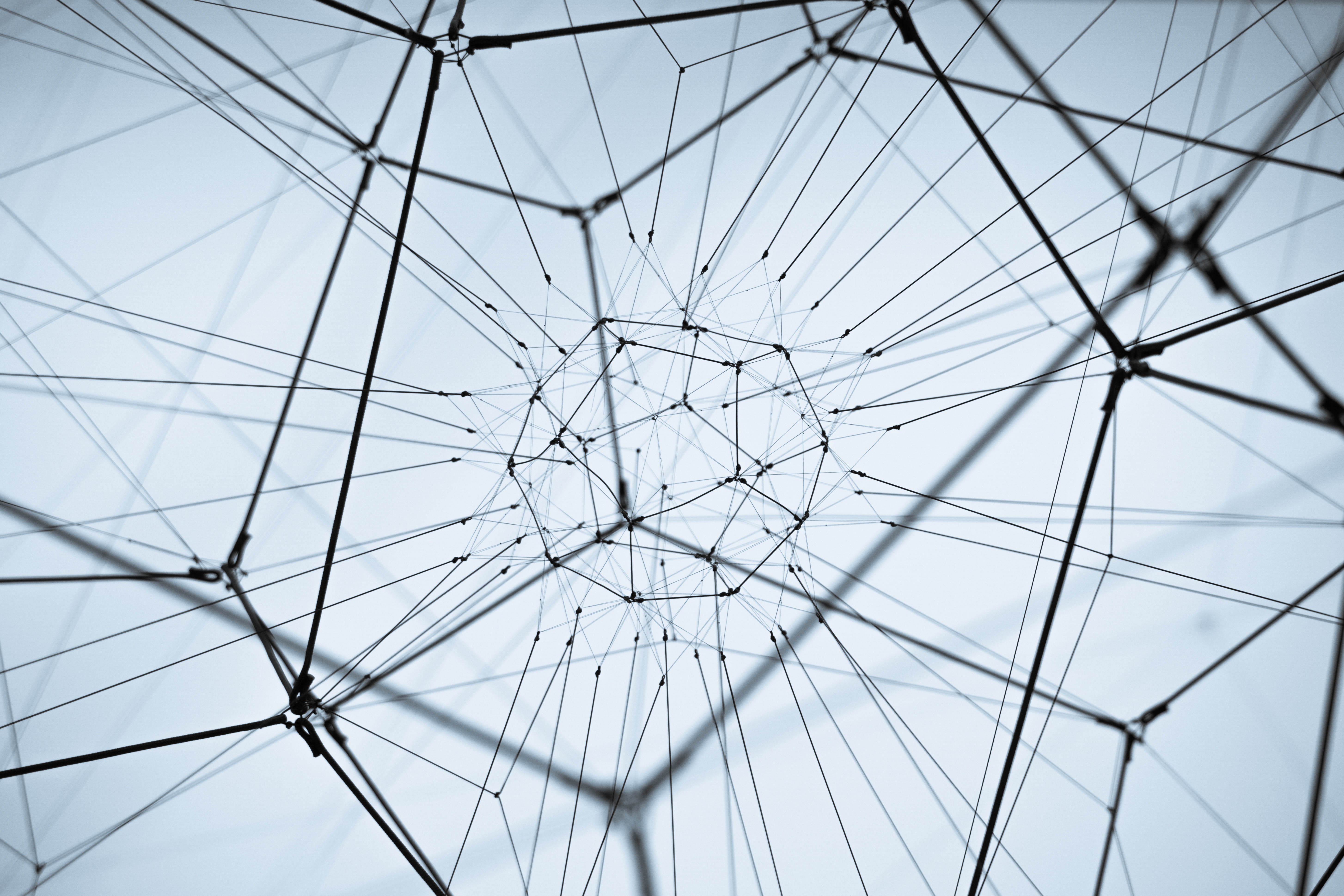a spider web with many lines
