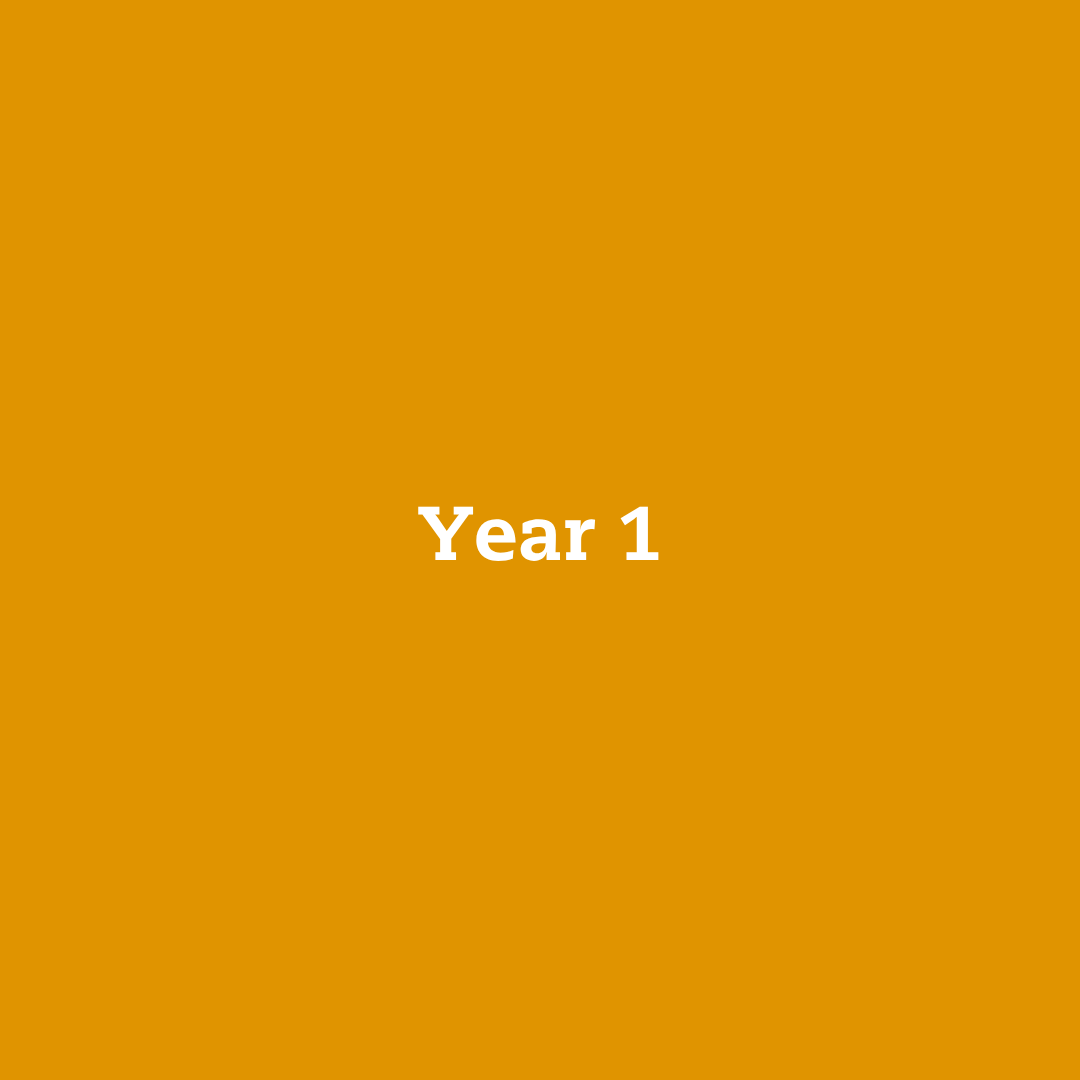 Year 1 (2)